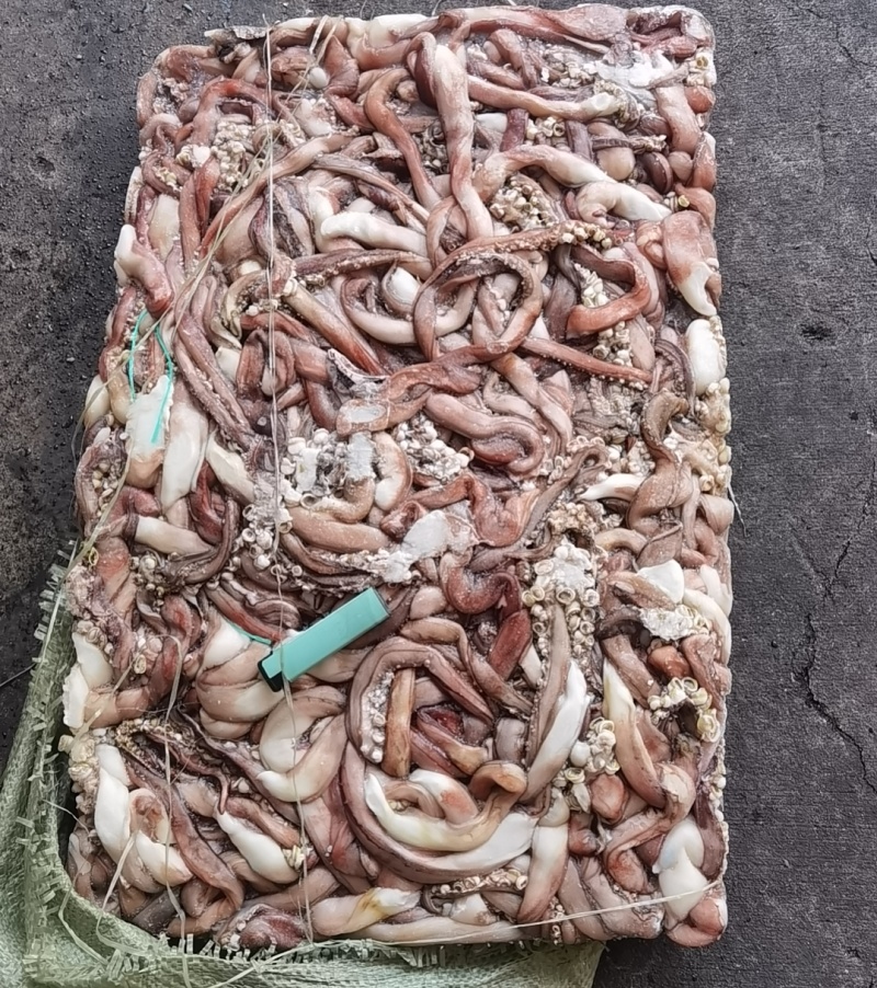 1000/2000秘鲁鱿鱼长须，原汁原味，不泡水不泡药水