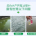 底栖硅藻种水产养殖鱼虾蟹用补藻调水增加溶氧稳藻相抑制蓝藻