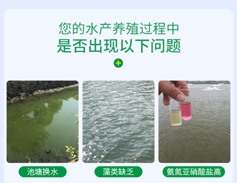 底栖硅藻种水产养殖鱼虾蟹用补藻调水增加溶氧稳藻相抑制蓝藻
