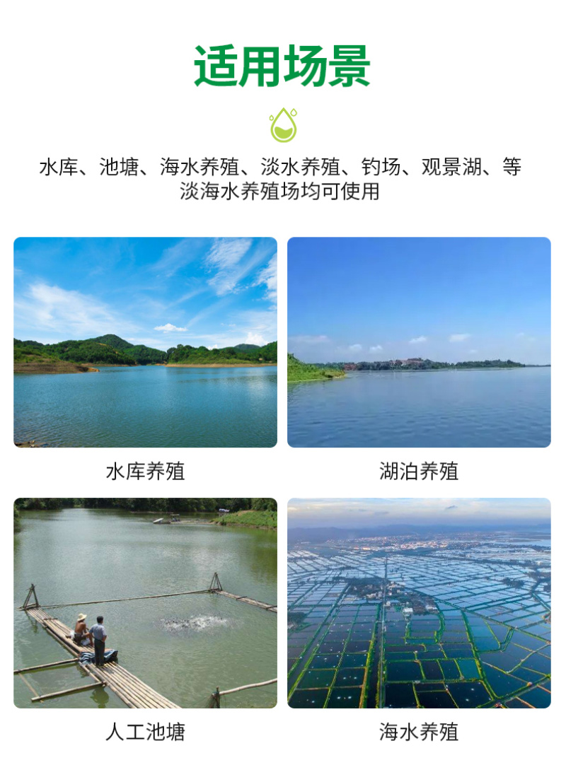 底栖硅藻种水产养殖鱼虾蟹用补藻调水增加溶氧稳藻相抑制蓝藻