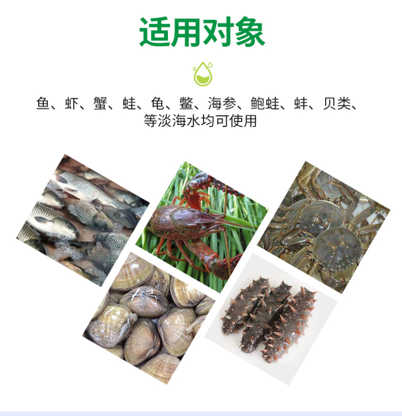 底栖硅藻种水产养殖鱼虾蟹用补藻调水增加溶氧稳藻相抑制蓝藻