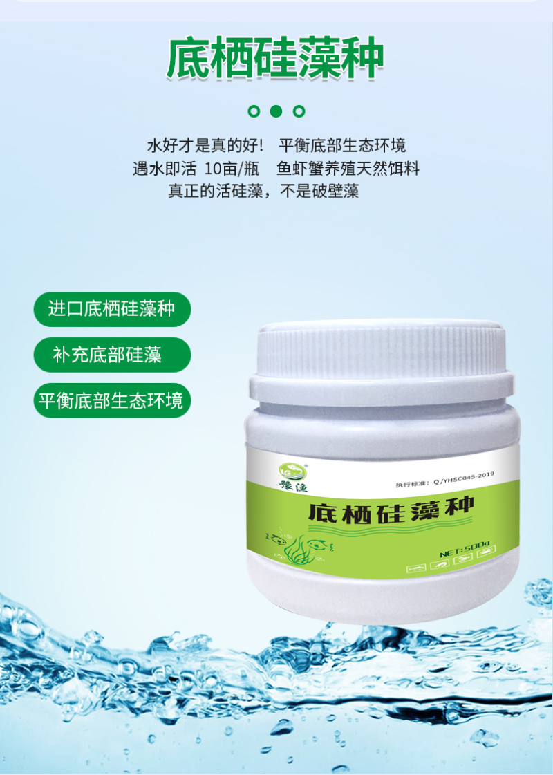 底栖硅藻种水产养殖鱼虾蟹用补藻调水增加溶氧稳藻相抑制蓝藻