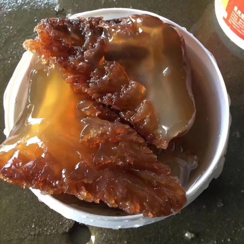 海蜇头，渤海湾野生单角。红头。绵蛰。青蛰