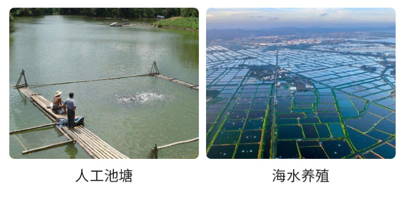 豫渔底水安改底片水产养殖鱼虾蟹过硫酸氢钾复合盐片底改净水