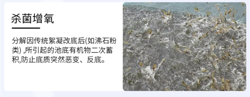 豫渔底水安改底片水产养殖鱼虾蟹过硫酸氢钾复合盐片底改净水