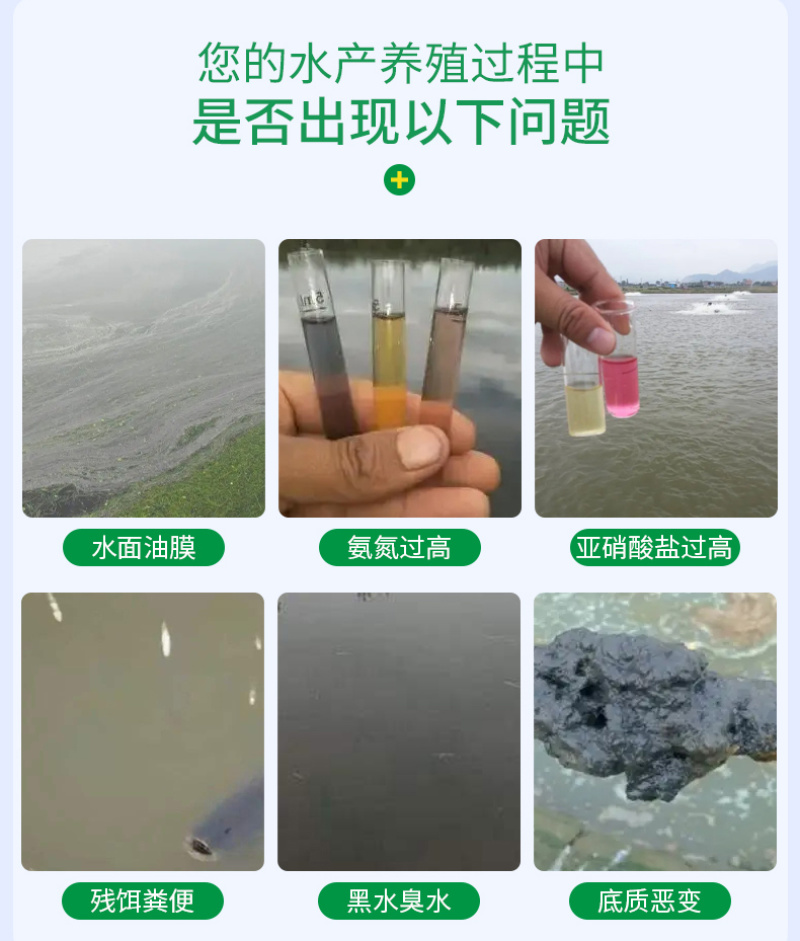 豫渔底水安改底片水产养殖鱼虾蟹过硫酸氢钾复合盐片底改净水