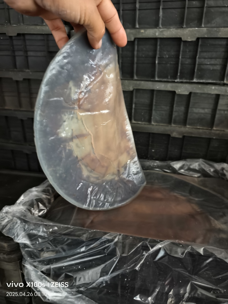 绵蛰皮，青蛰皮，干度好的海蜇皮
