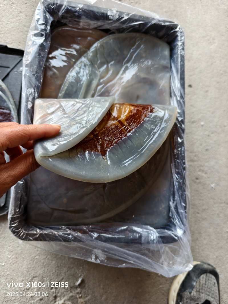绵蛰皮，青蛰皮，干度好的海蜇皮