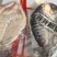 旋转无刺烤鱼烤鱼连锁专用烤鱼斑点叉尾鮰鱼清江鱼