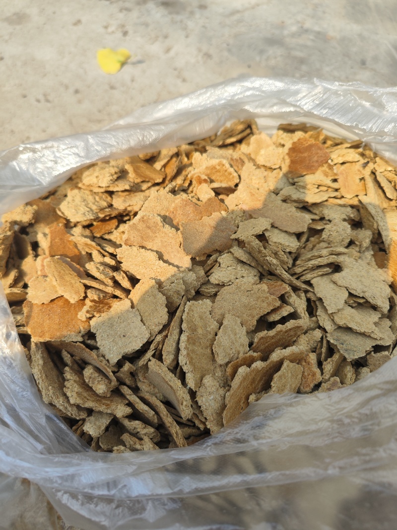 大豆饼含蛋白高，是养殖用的好饲料