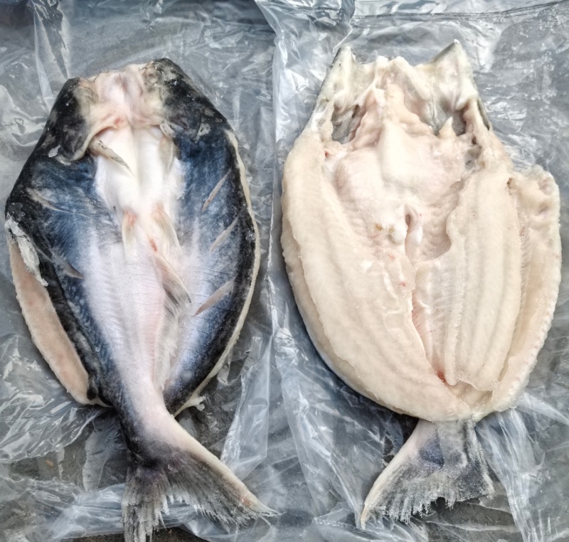 吊炉旋转烤鱼无刺烤鱼烤鱼连锁店保质保量