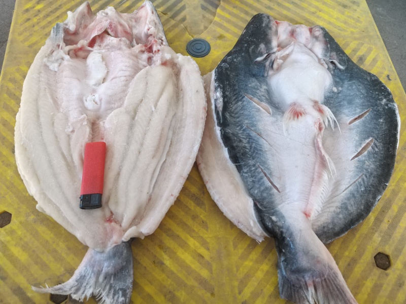 吊炉旋转烤鱼无刺烤鱼烤鱼连锁店保质保量