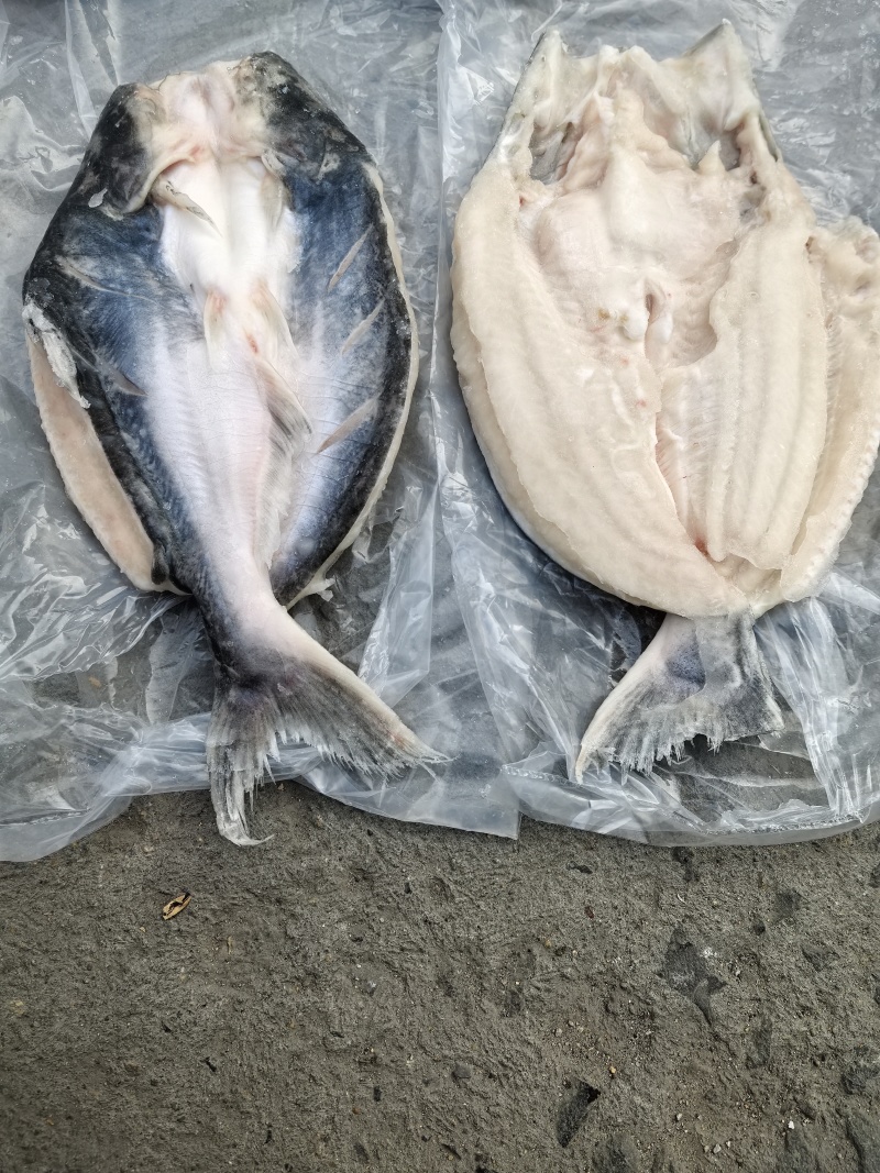 吊炉旋转烤鱼无刺烤鱼烤鱼连锁店保质保量