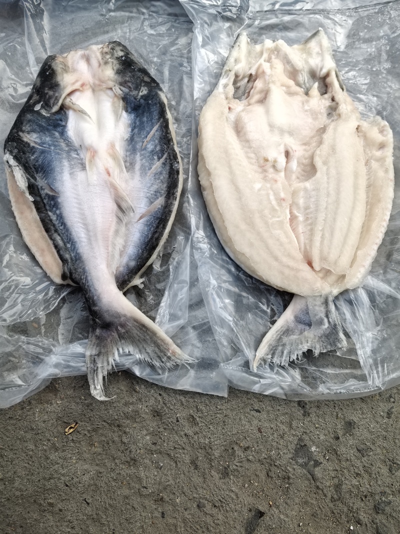 吊炉旋转烤鱼无刺烤鱼烤鱼连锁店保质保量