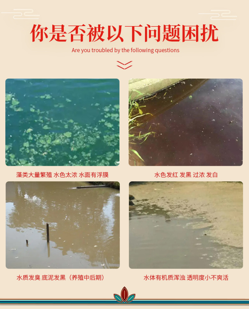 豫渔净水芽孢王水产养殖枯草芽孢杆菌鱼塘调水净水平衡藻相