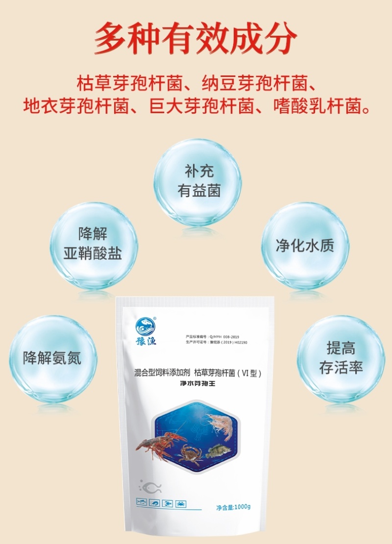 豫渔净水芽孢王水产养殖枯草芽孢杆菌鱼塘调水净水平衡藻相