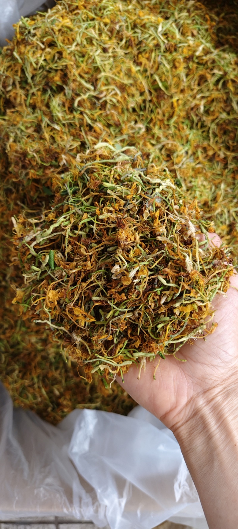 广西金银花五彩花产地直发品质保障量大优惠