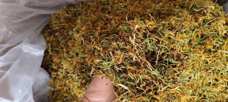 广西金银花五彩花产地直发品质保障量大优惠