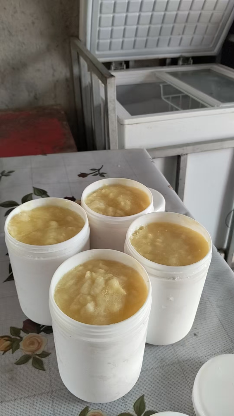 蜂王浆蜂场直供常年供应无中间商批发零售都可以对接