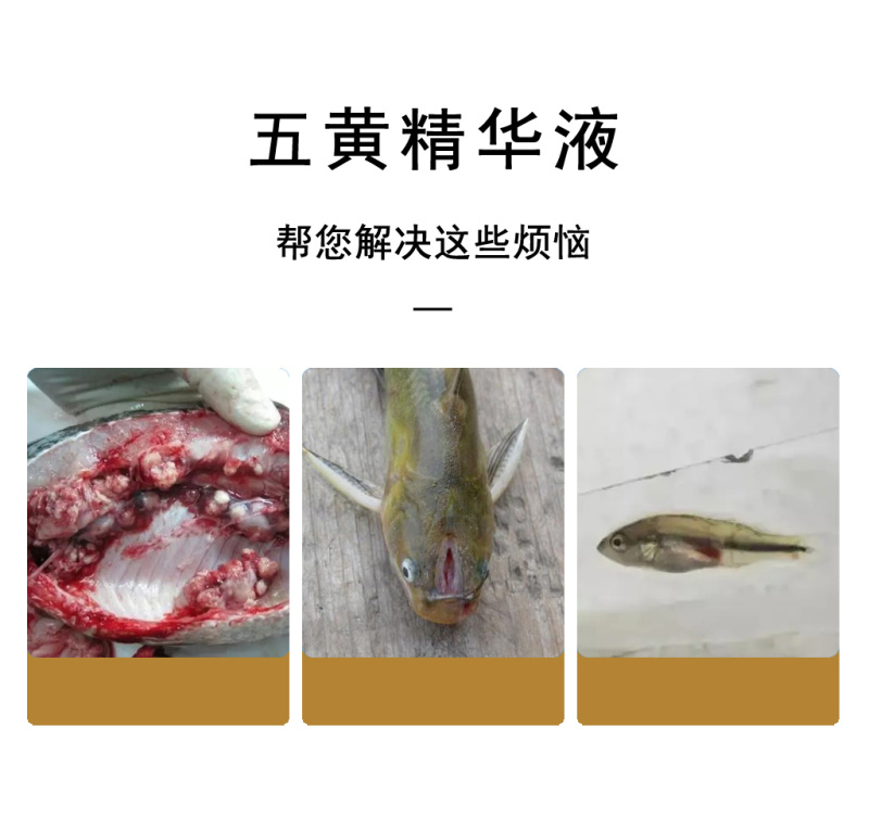 水产养殖用鱼塘鱼虾蟹黄芪腐皮烂鳃烂身赤皮打印肠炎烂尾