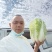 六月份大量供应河北坝上黄心大白菜需要老板提前预订，