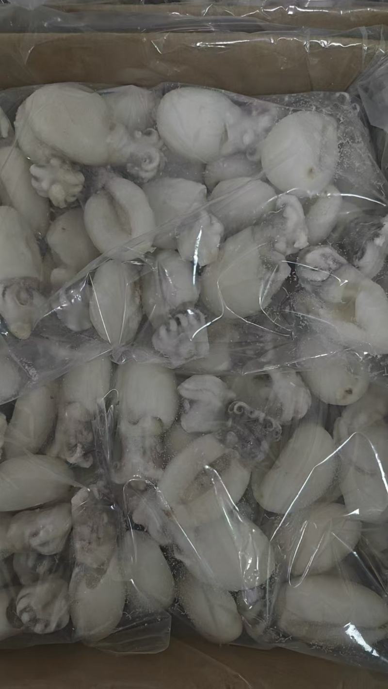 墨鱼仔（去牙去内脏）