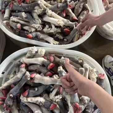 花羊蹄