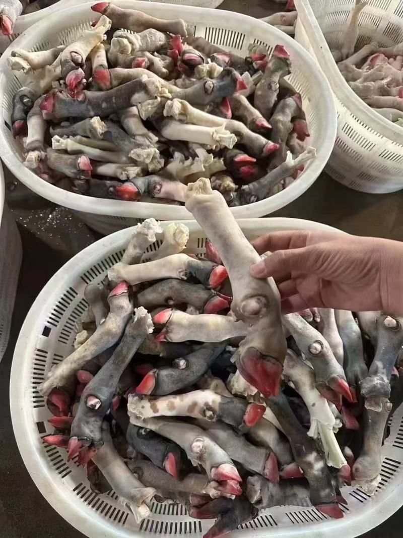 花羊蹄