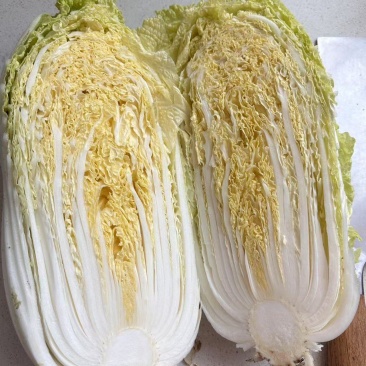 娃娃菜