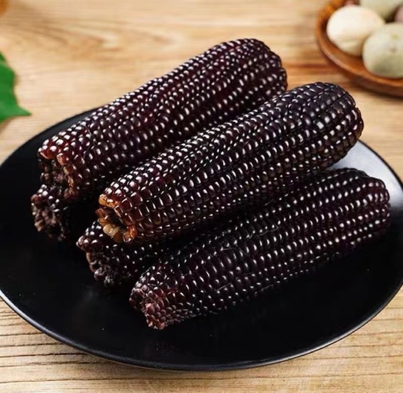 湖北黑糯玉米白糯玉米花糯玉米产地直供品质保证欢迎联系