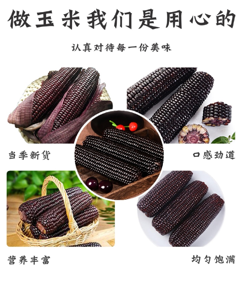 湖北黑糯玉米白糯玉米花糯玉米产地直供品质保证欢迎联系