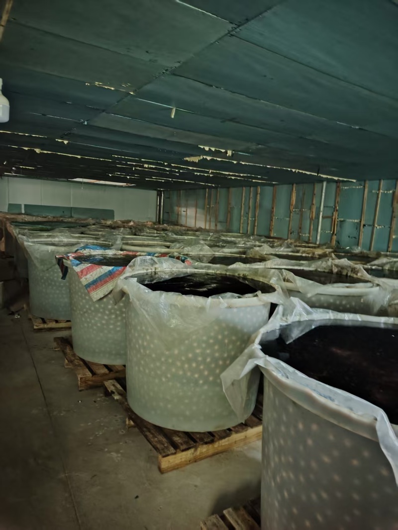 精品无铅松花蛋皮蛋厂家直发品质保证/180枚每件全国发货