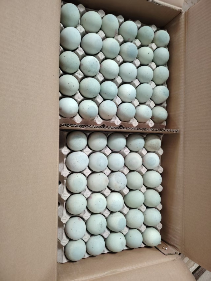 精品无铅松花蛋皮蛋厂家直发品质保证/180枚每件全国发货