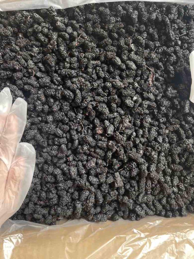 【推荐】桑葚干四川精选水洗干净大果营养价值高