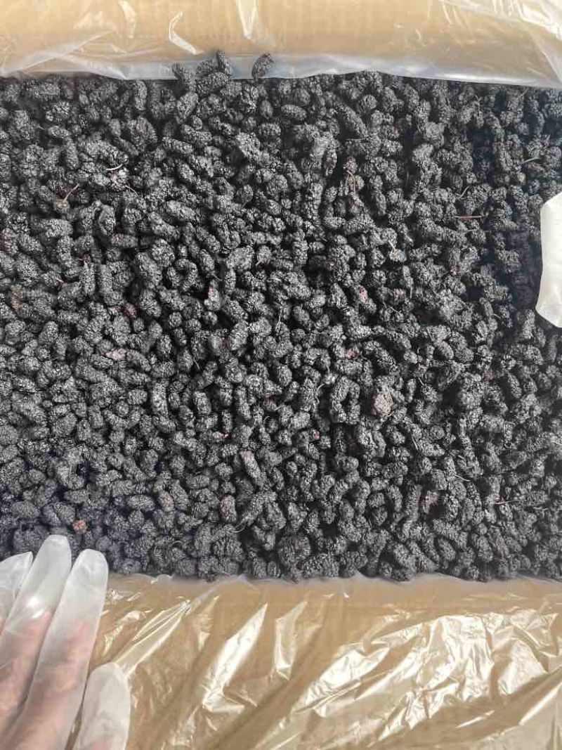 【推荐】桑葚干四川精选水洗干净大果营养价值高