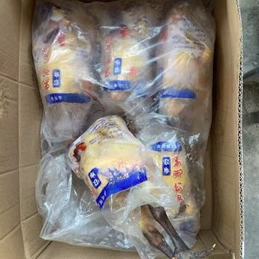 青脚麻母，，餐饮适合各种炒鸡，三斤多到一斤的都有