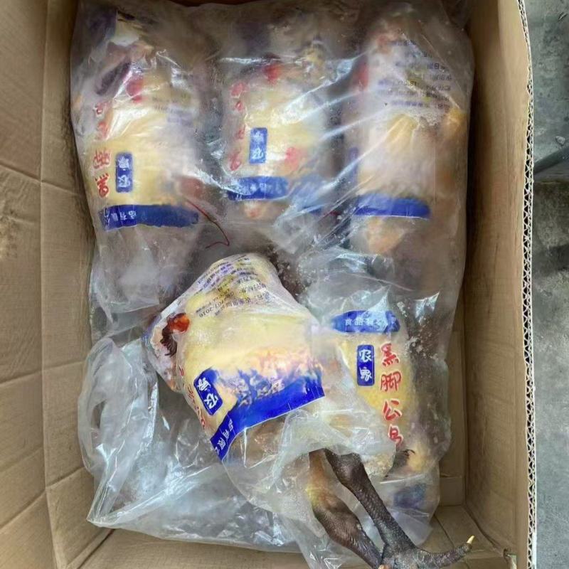 青脚麻母，，餐饮适合各种炒鸡，三斤多到一斤的都有