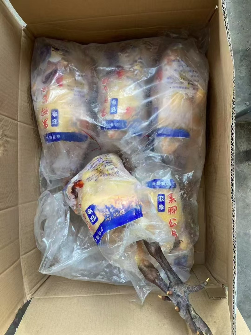 青脚麻母，，餐饮适合各种炒鸡，三斤多到一斤的都有