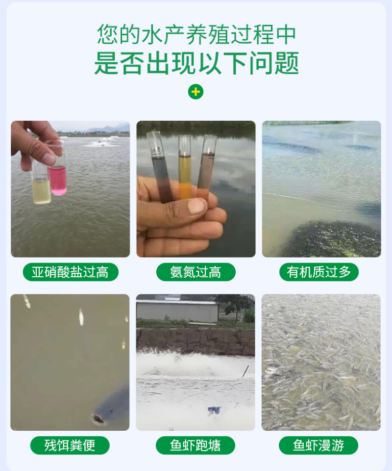 亚硝克星片水产养殖鱼虾蟹用降解亚硝酸盐氨氮防止倒藻解毒