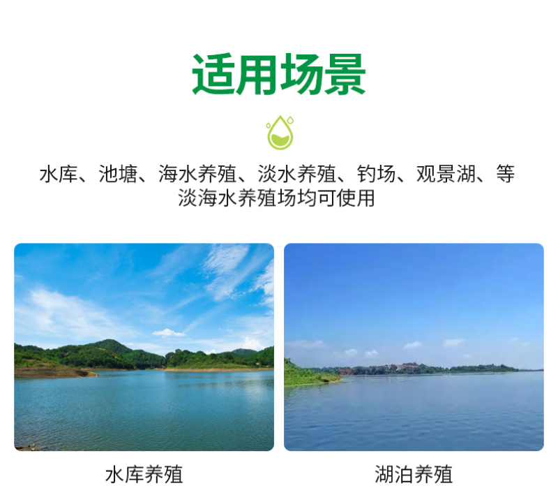 亚硝克星片水产养殖鱼虾蟹用降解亚硝酸盐氨氮防止倒藻解毒