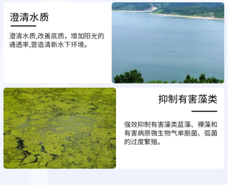 亚硝克星片水产养殖鱼虾蟹用降解亚硝酸盐氨氮防止倒藻解毒