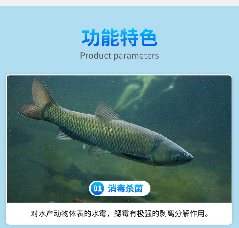 真君红克水产养殖硫醚沙星鱼虾蟹用水霉鳃霉腐皮烂身真菌细菌