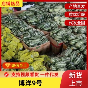 博洋9号，大量有货，产地一手货源，欢迎新老客户前来合作
