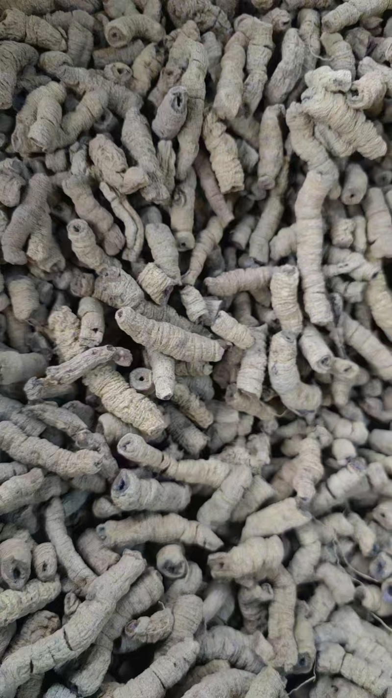 巴戟天各种规格巴戟肉免费打粉抽芯巴戟天批发中药材
