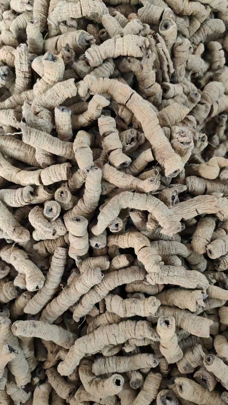 巴戟天各种规格巴戟肉免费打粉抽芯巴戟天批发中药材