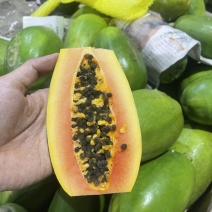 广西冰糖心红心木瓜，电商专业对接一件代发