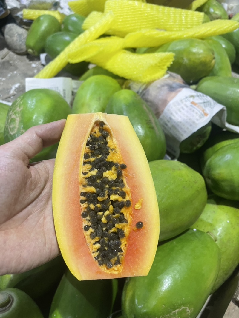广西冰糖心红心木瓜，电商专业对接一件代发