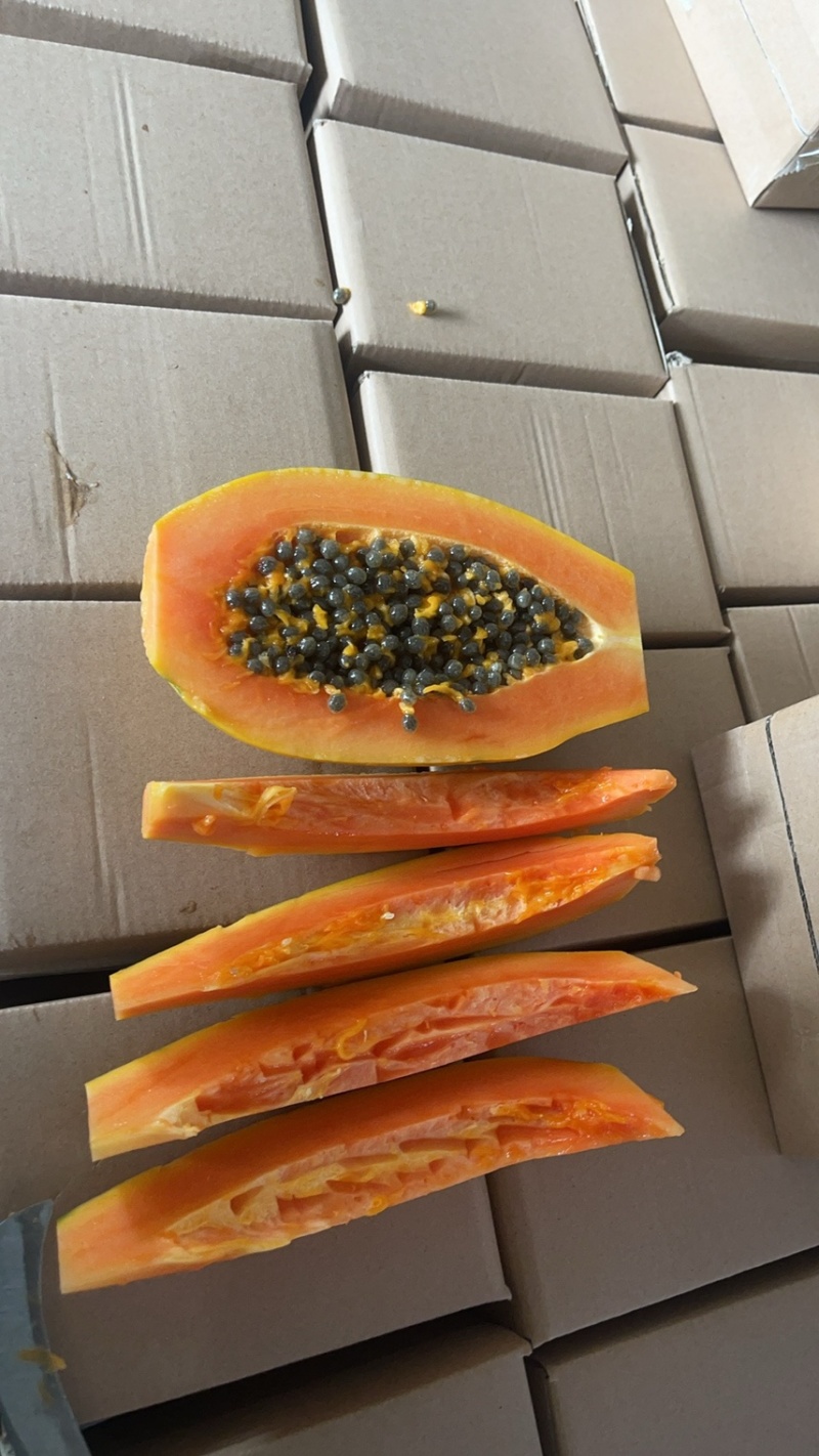 广西冰糖心红心木瓜，电商专业对接一件代发