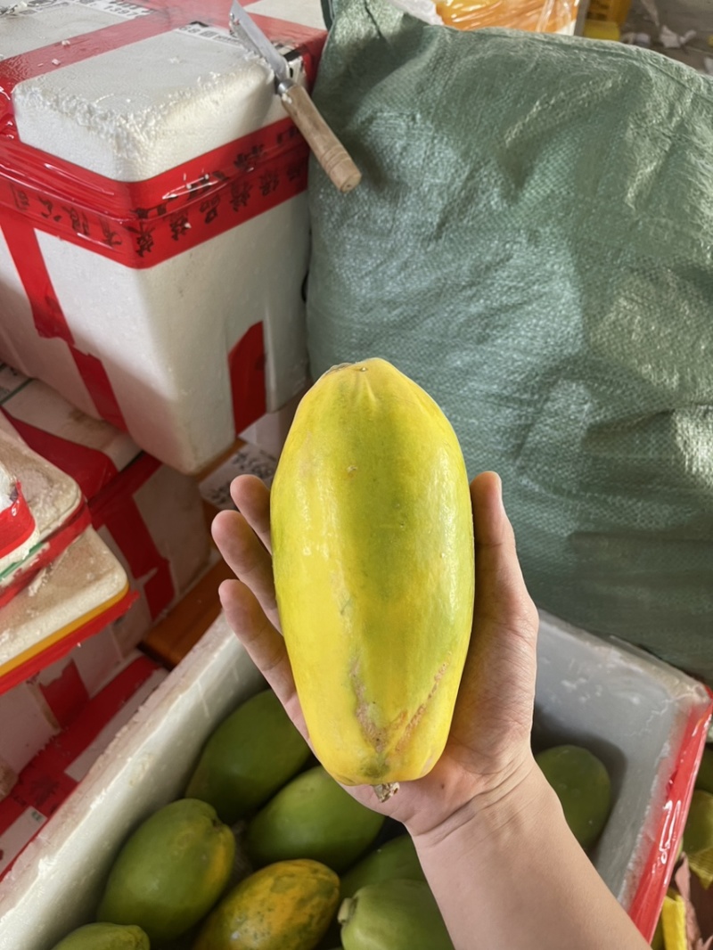 广西冰糖心红心木瓜，电商专业对接一件代发