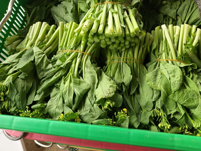 精品菜苔